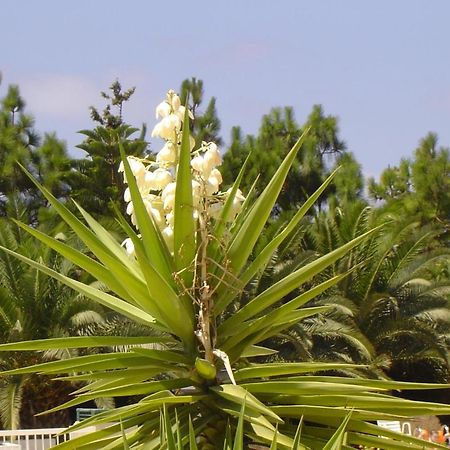 Ikaria Village Maisonette 10 Klorakas Bagian luar foto
