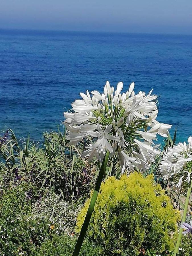 Ikaria Village Maisonette 10 Klorakas Bagian luar foto