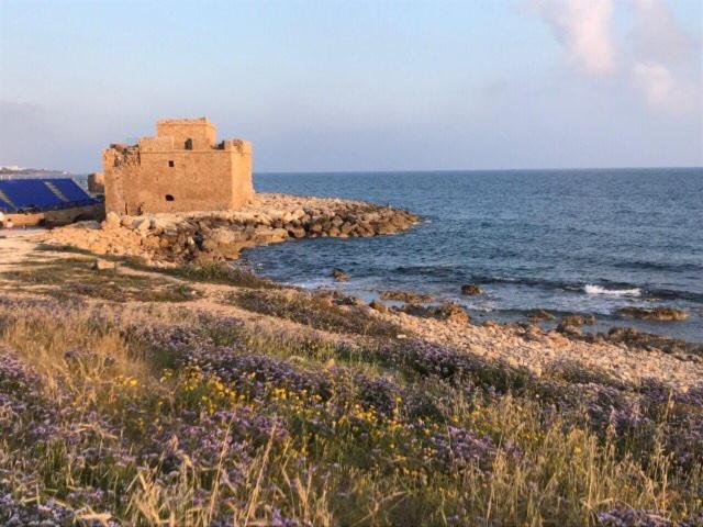 Ikaria Village Maisonette 10 Klorakas Bagian luar foto