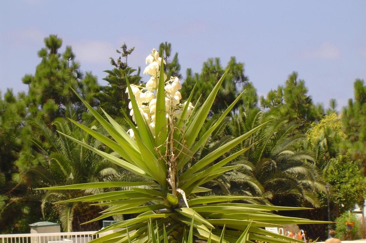 Ikaria Village Maisonette 10 Klorakas Bagian luar foto
